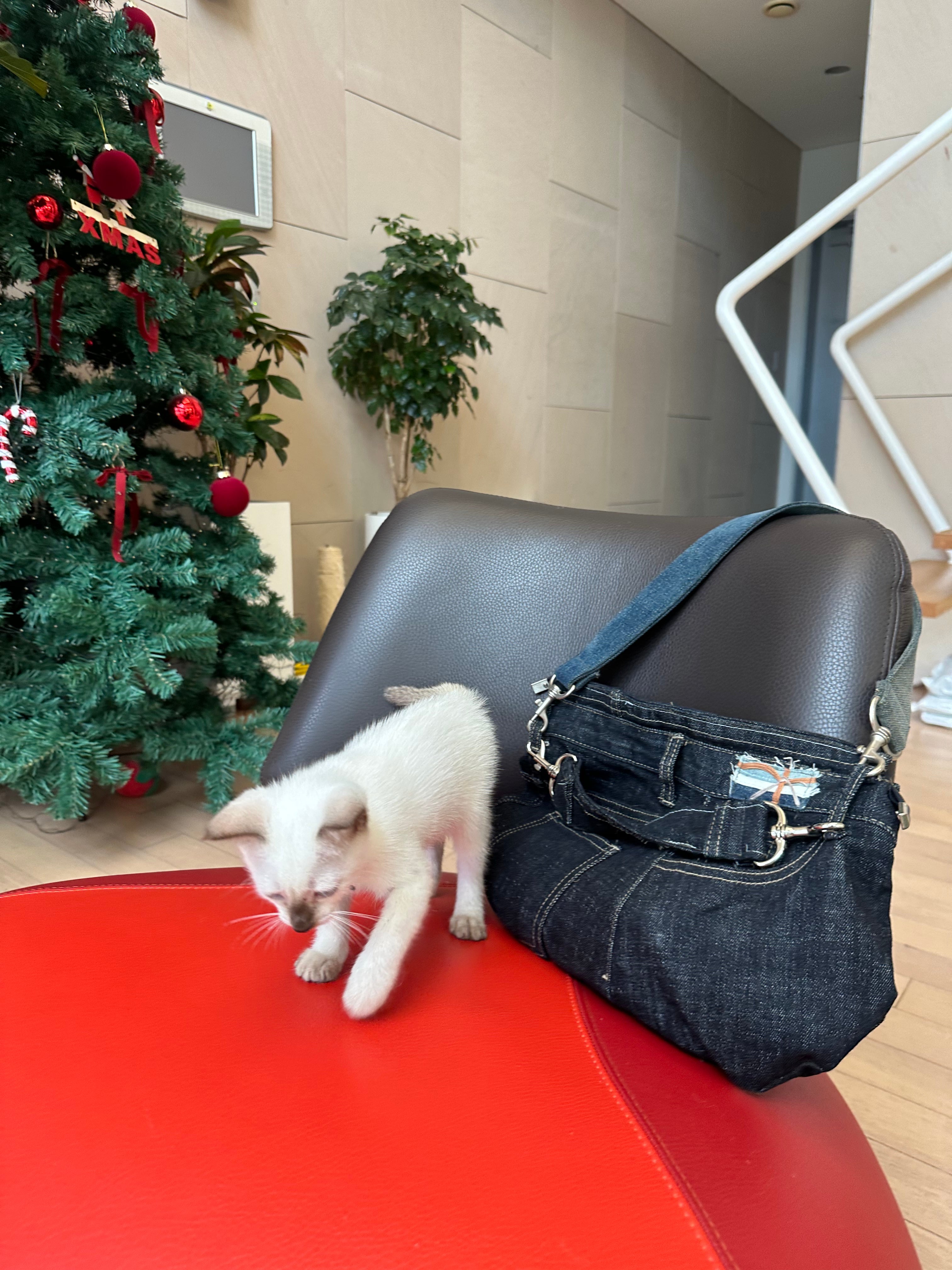 Upcycled Denim Handbag 업사이클 데님 손가방
